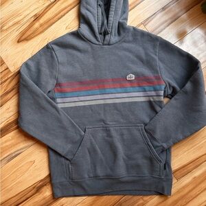 Patagonia Gray Sweatshirt with Retro Stripes
